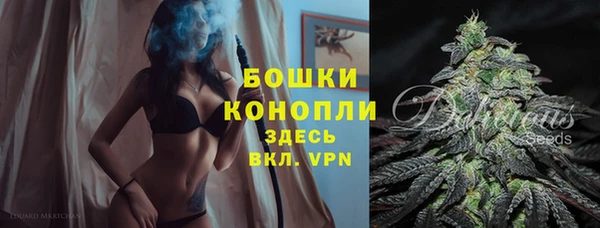 стаф Зеленокумск