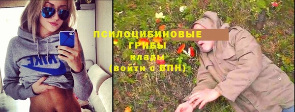 герыч Зеленодольск