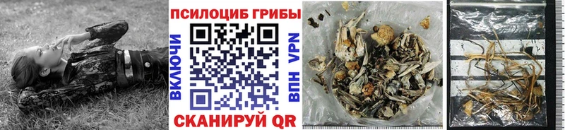 Псилоцибиновые грибы мицелий  Купить  Октябрьский 